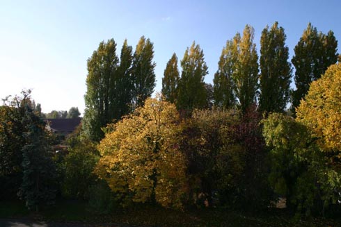 Capolongo - La Ferme