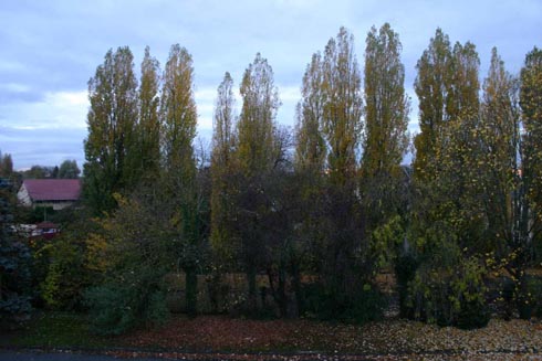 Capolongo - La Ferme