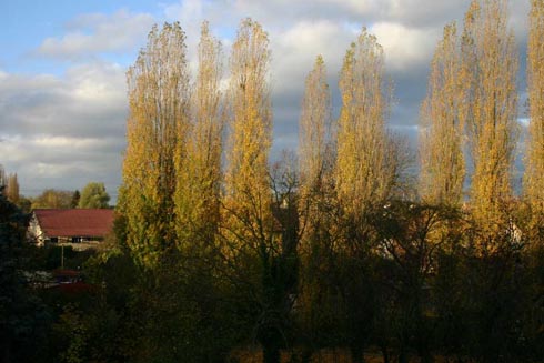 Capolongo - La Ferme