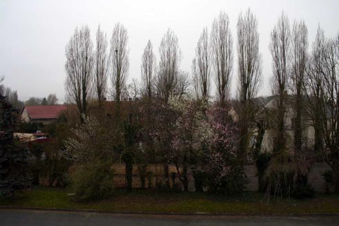 Capolongo - La Ferme