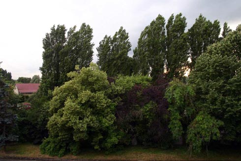 Capolongo - La Ferme