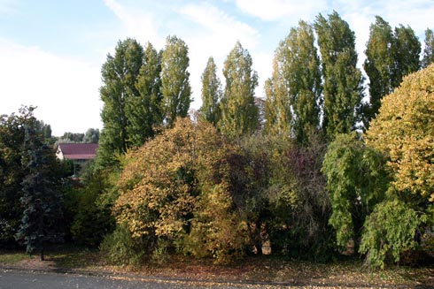 Capolongo - La Ferme