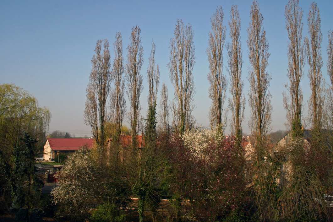 Capolongo - La Ferme