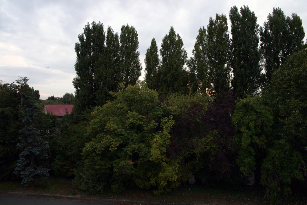 Capolongo - La Ferme