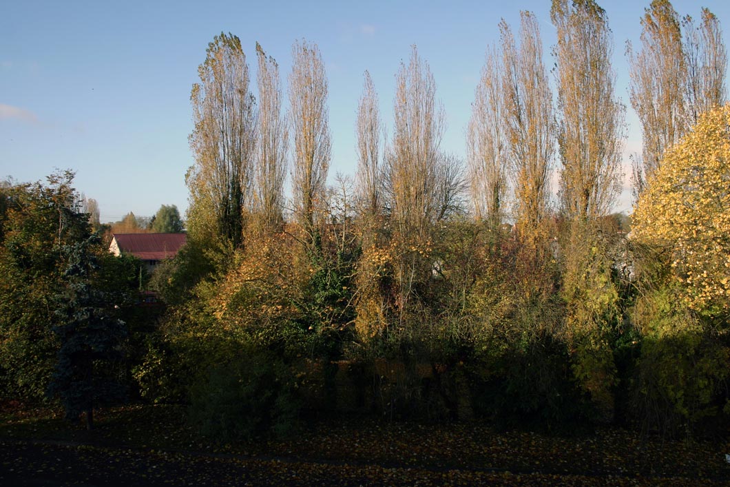 Capolongo - La Ferme