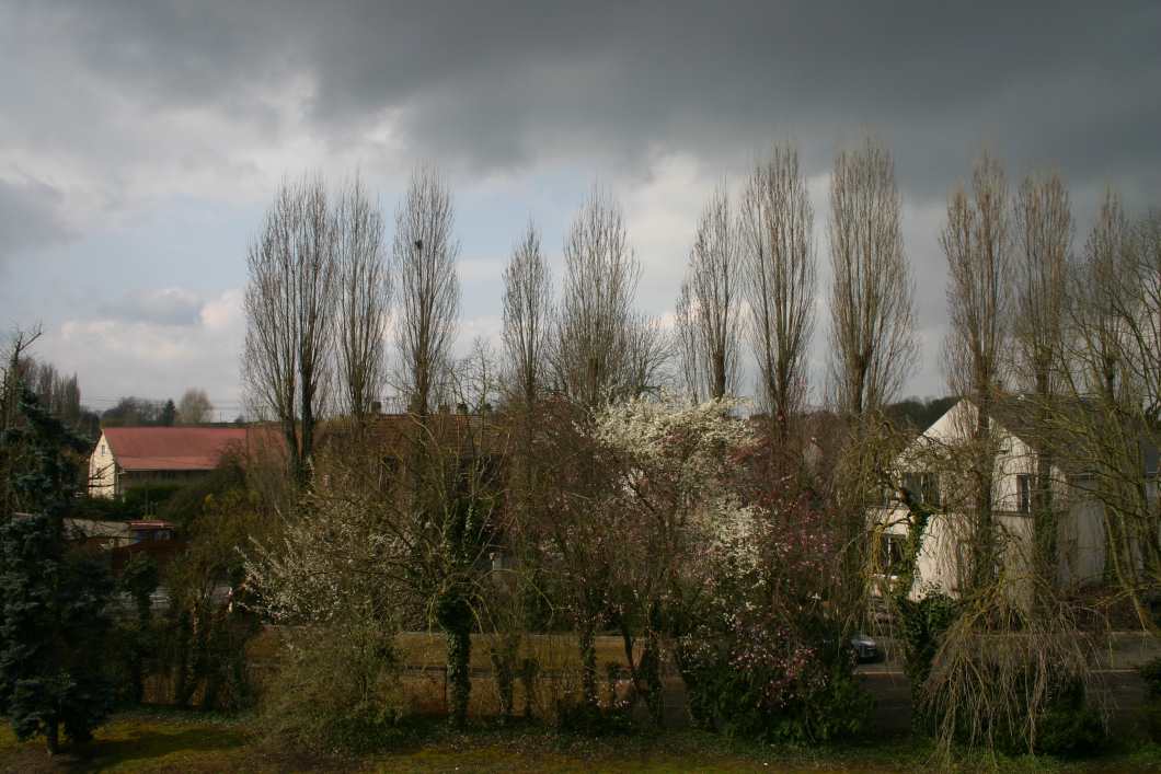 Capolongo - La Ferme