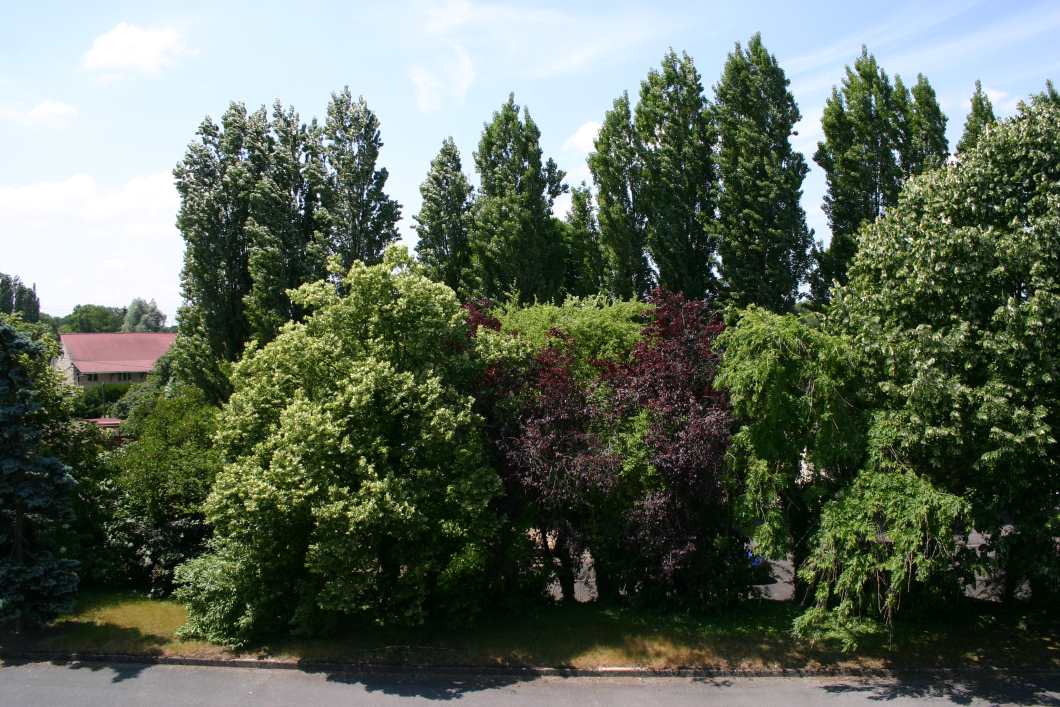 Capolongo - La Ferme