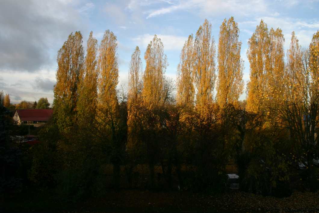 Capolongo - La Ferme