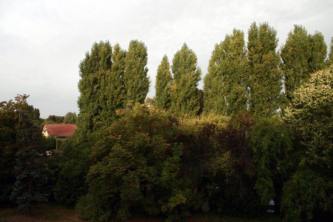 Capolongo - La Ferme