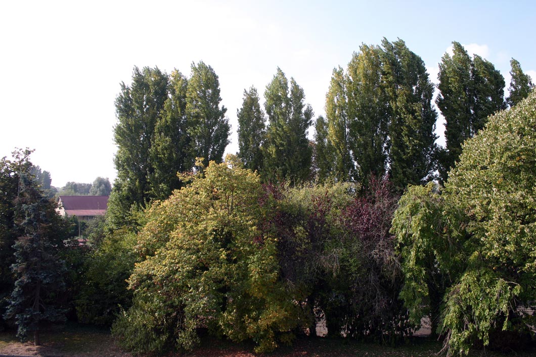 Capolongo - La Ferme