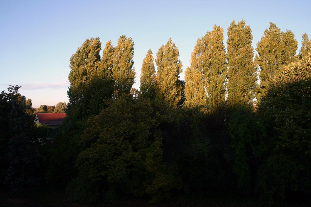 Capolongo - La Ferme