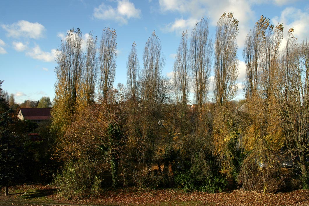 Capolongo - La Ferme